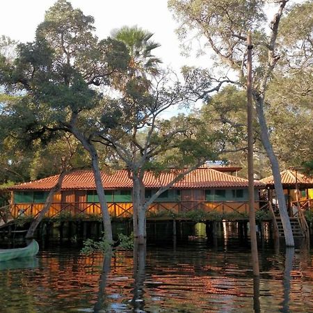 Pantanal Jungle Lodge Passo do Lontra Eksteriør billede