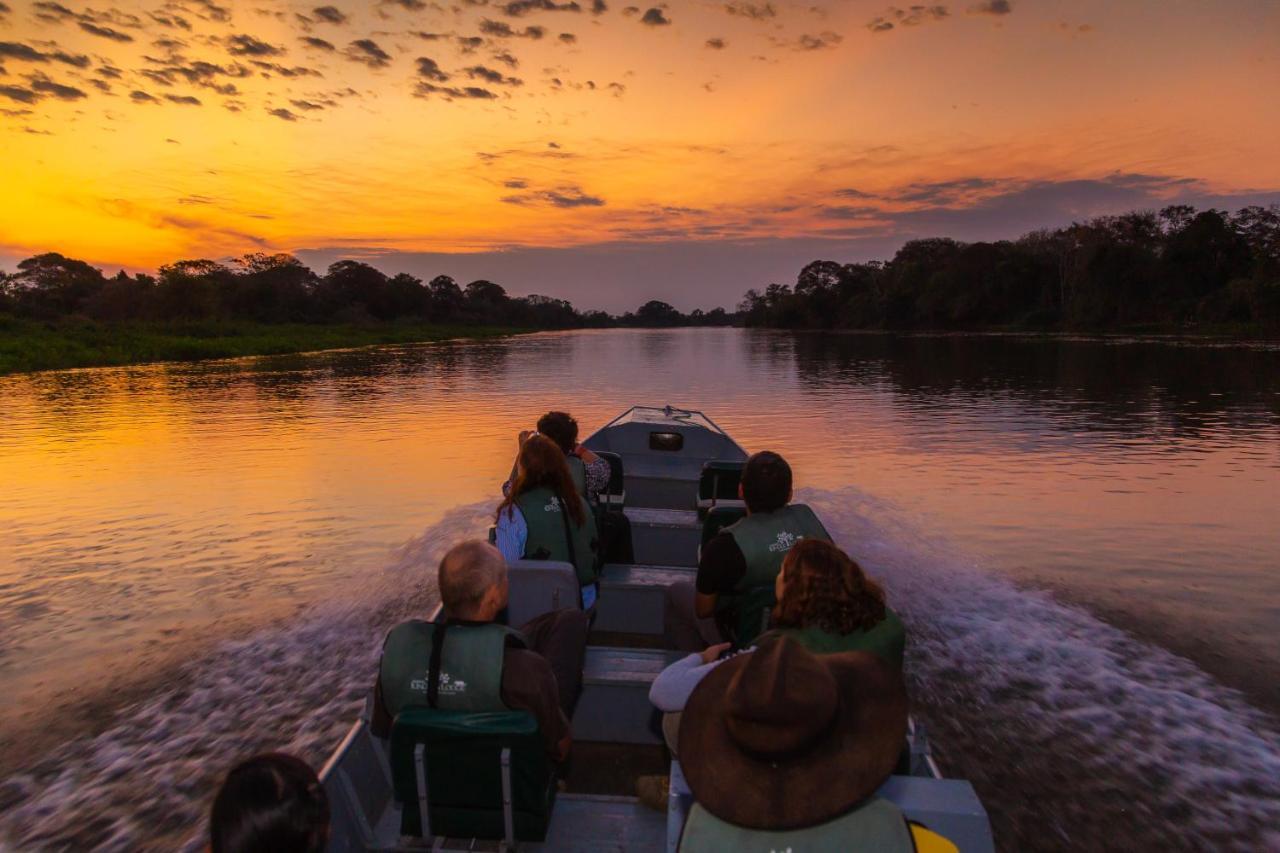 Pantanal Jungle Lodge Passo do Lontra Eksteriør billede