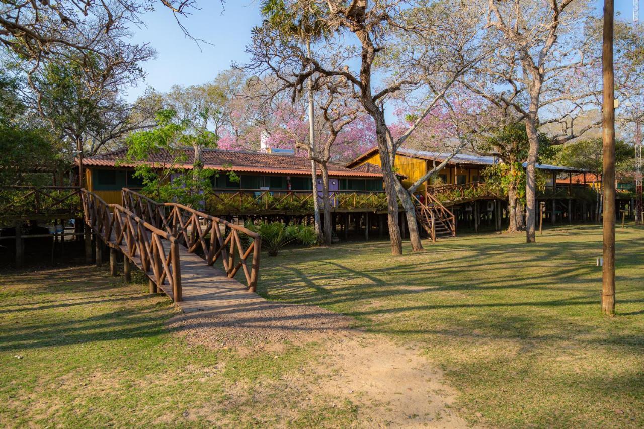 Pantanal Jungle Lodge Passo do Lontra Eksteriør billede