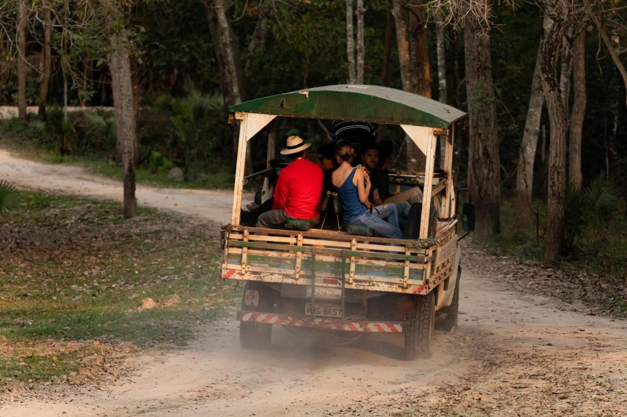 Pantanal Jungle Lodge Passo do Lontra Eksteriør billede